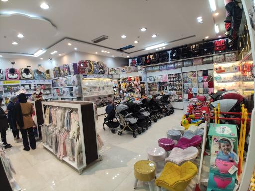 عکس سیسمونی داوطلب