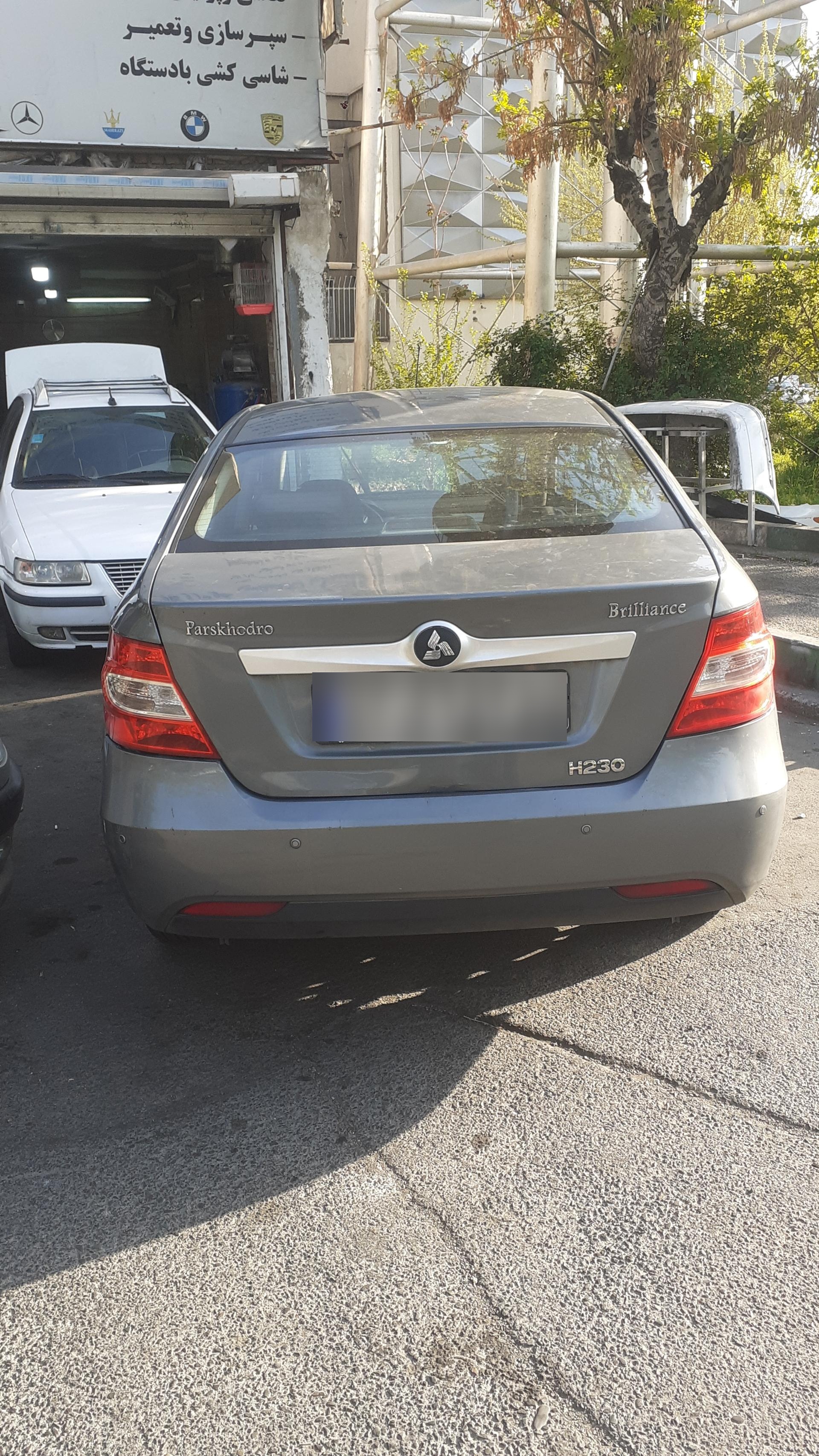 عکس صافکاری داود pdr