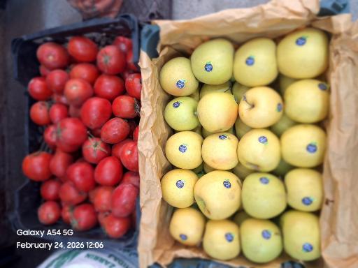 عکس میوه سرای رز