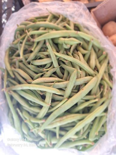 عکس میوه سرای رز