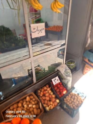 عکس میوه سرای رز