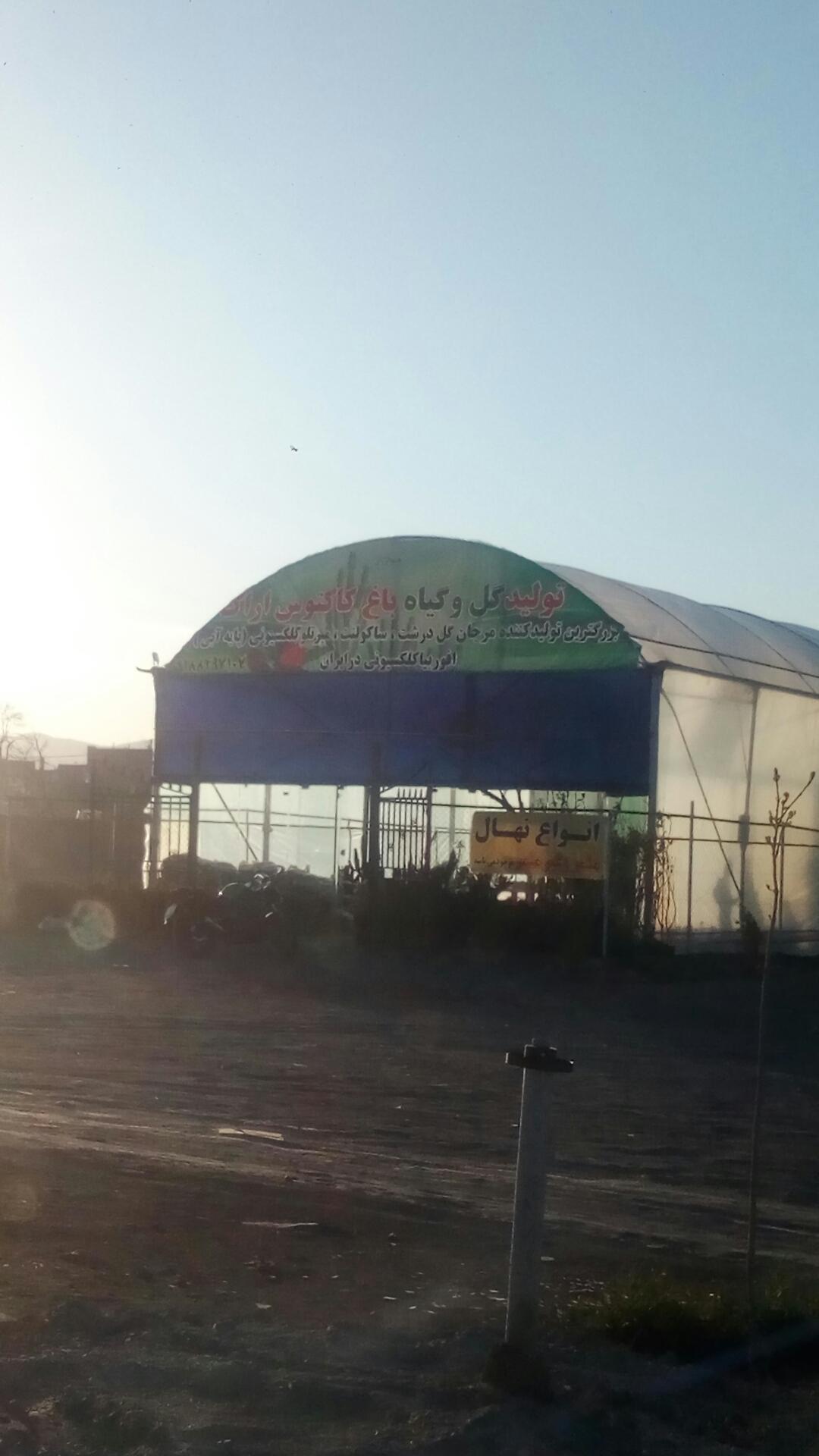 عکس باغ دلگشا