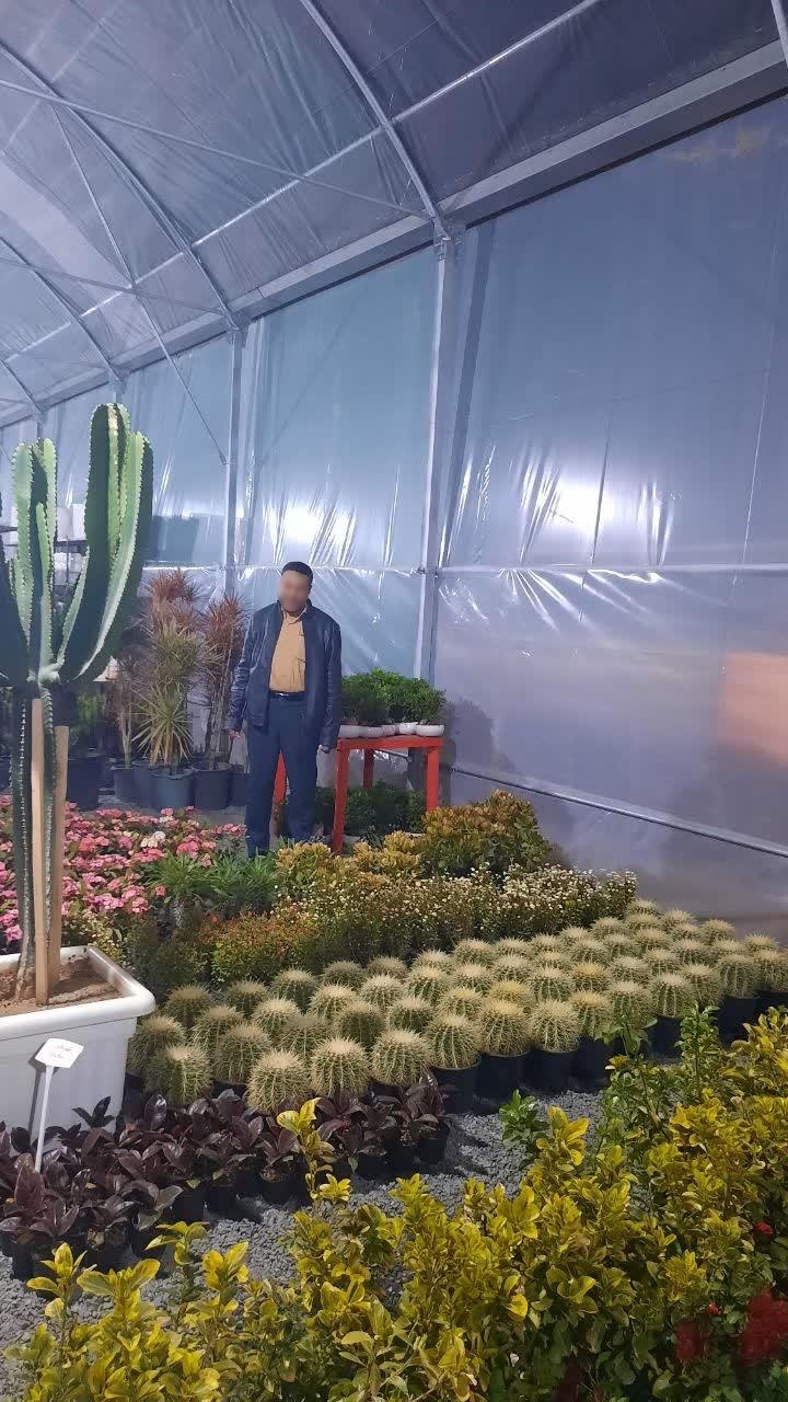 عکس باغ کاکتوس اراک