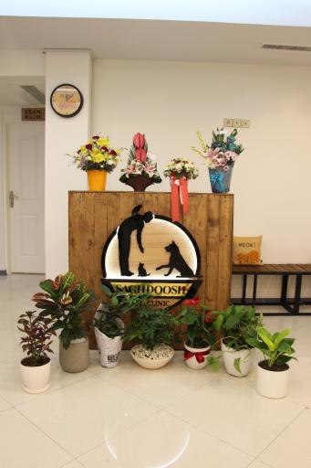 عکس کلینیک دامپزشکی ساقدوش 