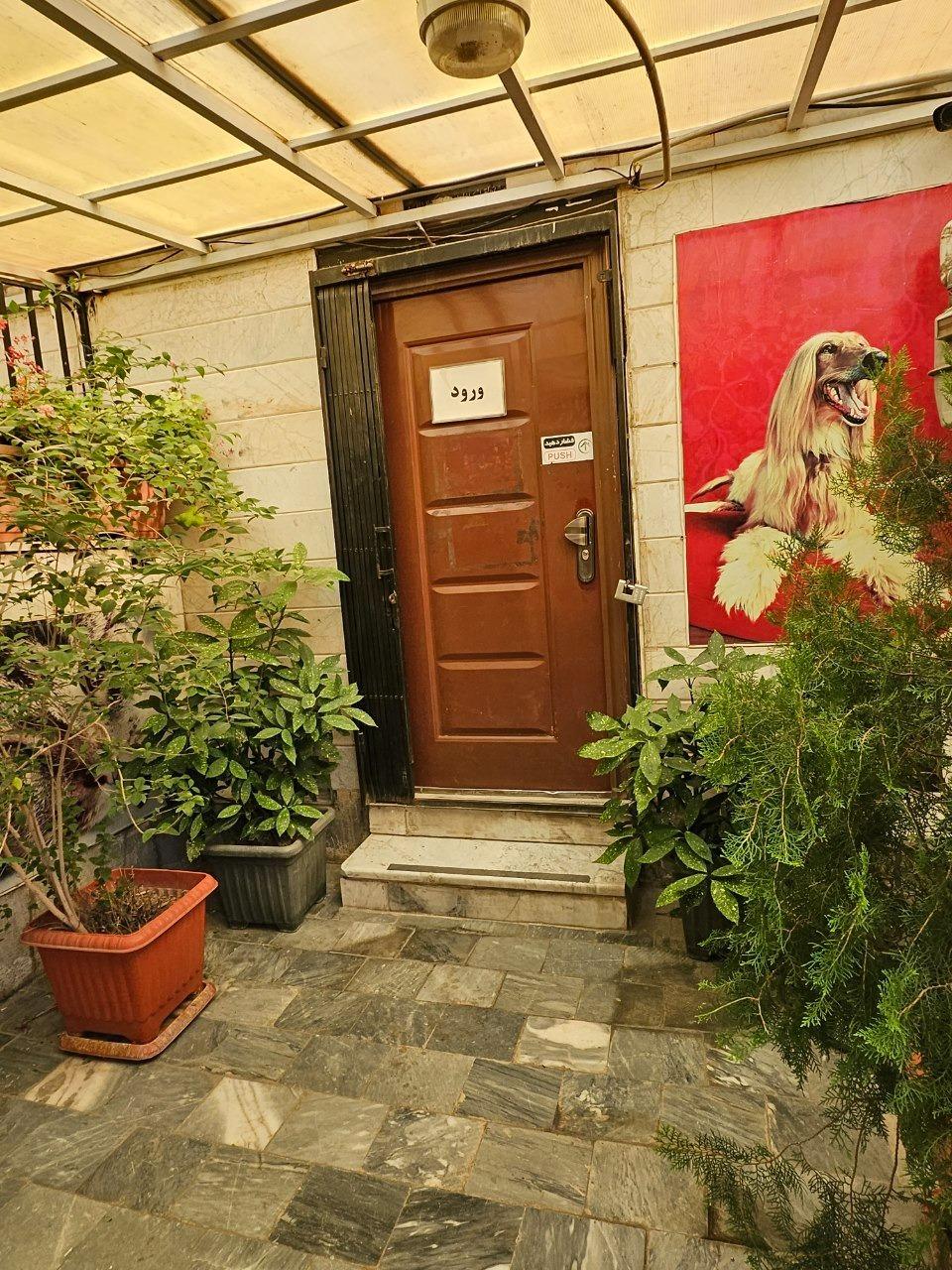 عکس کلینیک دامپزشکی نیکان