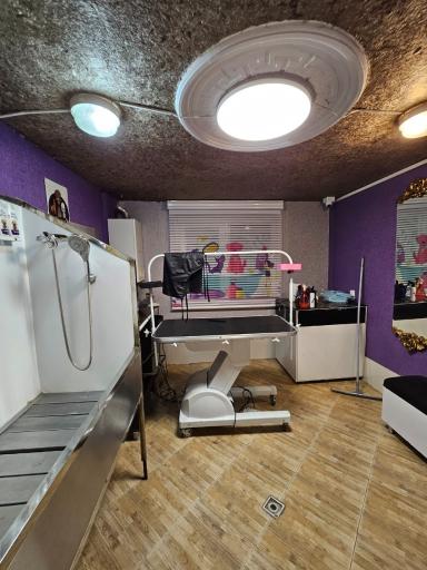 عکس کلینیک دامپزشکی نیکان