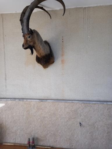 عکس موزه تاریخ طبیعی