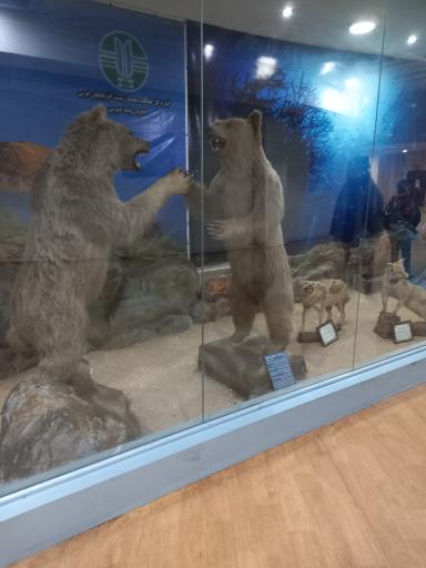 عکس موزه تاریخ طبیعی