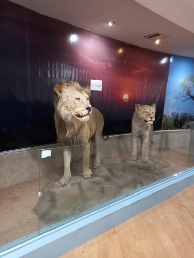 عکس موزه تاریخ طبیعی