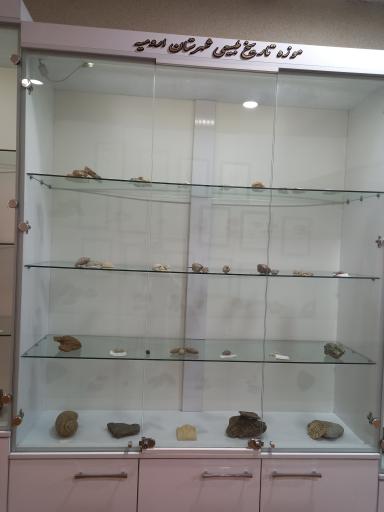 عکس موزه تاریخ طبیعی