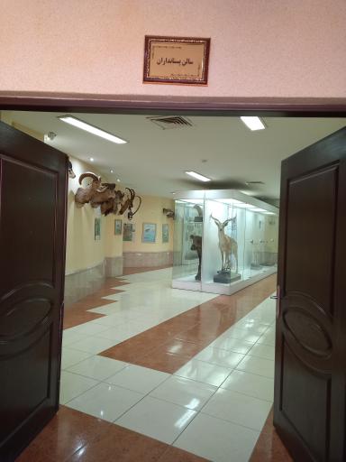 عکس موزه تاریخ طبیعی