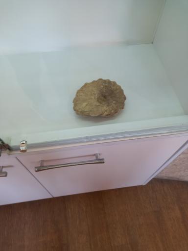 عکس موزه تاریخ طبیعی