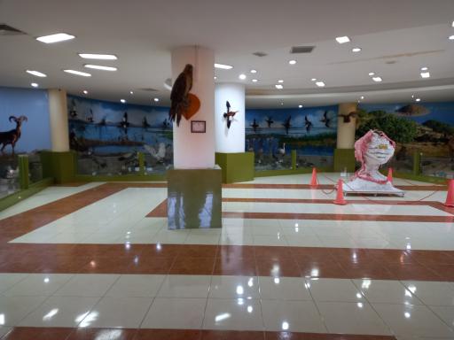 عکس موزه تاریخ طبیعی