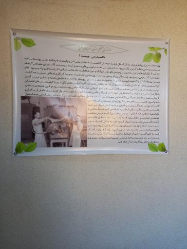 عکس موزه تاریخ طبیعی