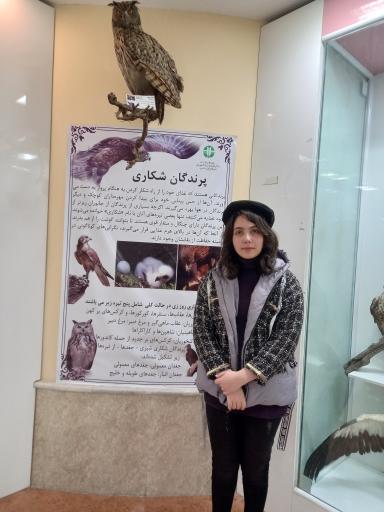 عکس موزه تاریخ طبیعی