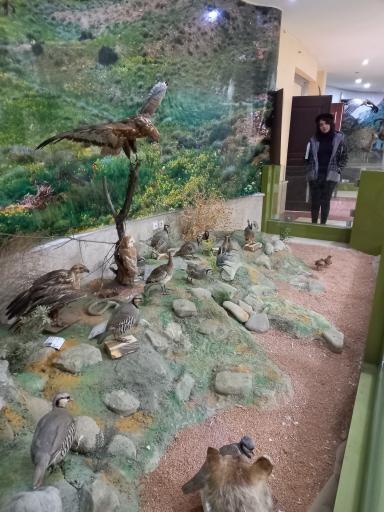 عکس موزه تاریخ طبیعی