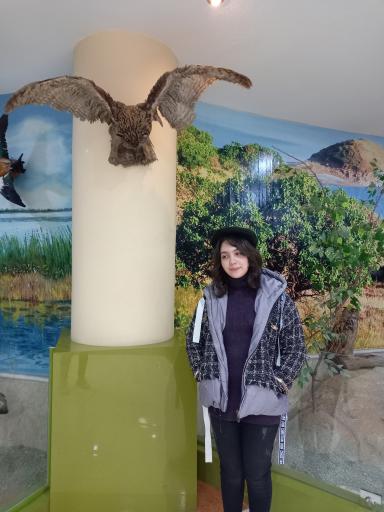 عکس موزه تاریخ طبیعی