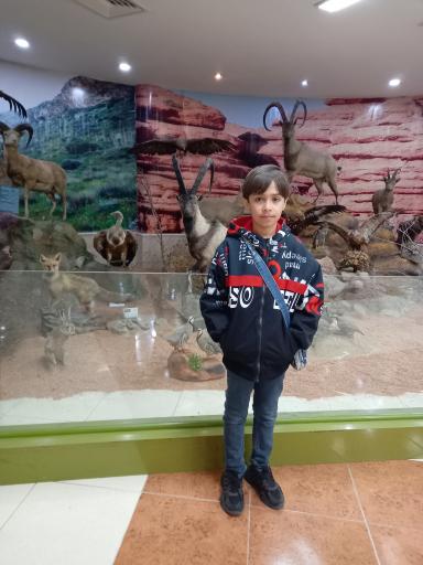 عکس موزه تاریخ طبیعی