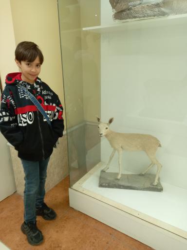 عکس موزه تاریخ طبیعی