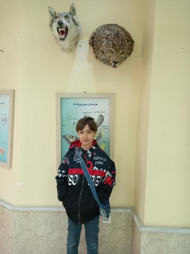 عکس موزه تاریخ طبیعی