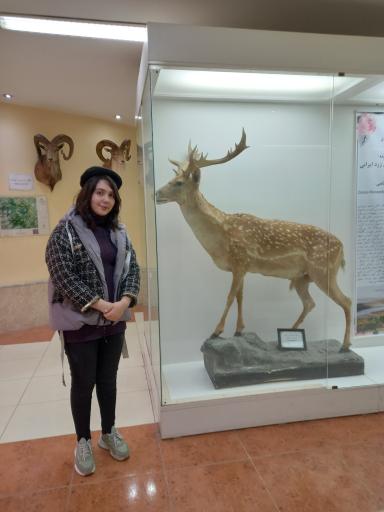 عکس موزه تاریخ طبیعی