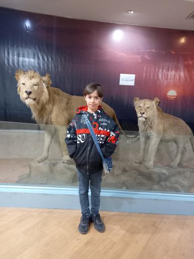 عکس موزه تاریخ طبیعی