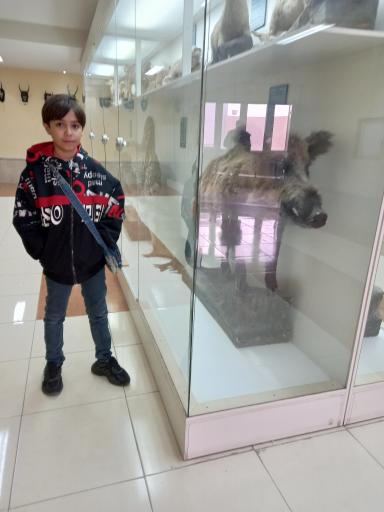 عکس موزه تاریخ طبیعی