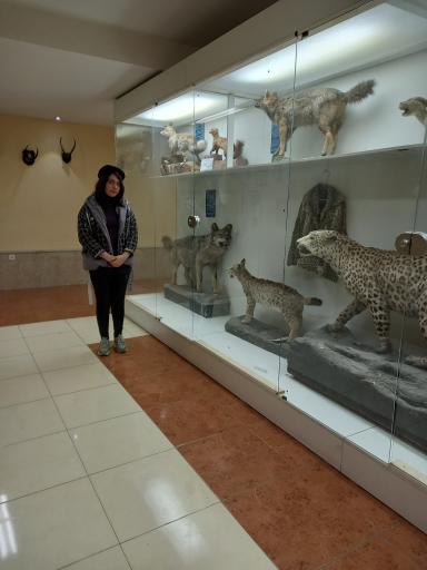 عکس موزه تاریخ طبیعی