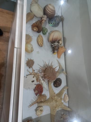 عکس موزه تاریخ طبیعی