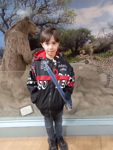 عکس موزه تاریخ طبیعی