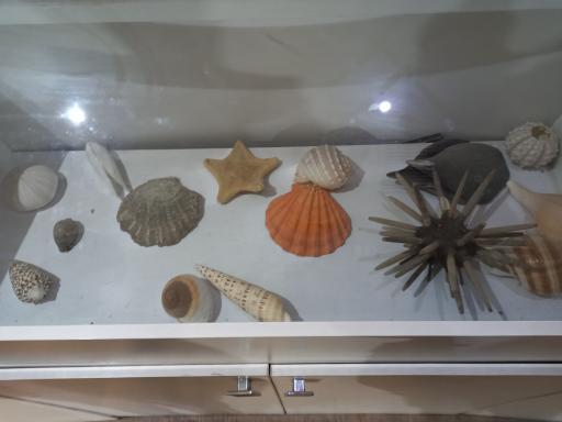 عکس موزه تاریخ طبیعی