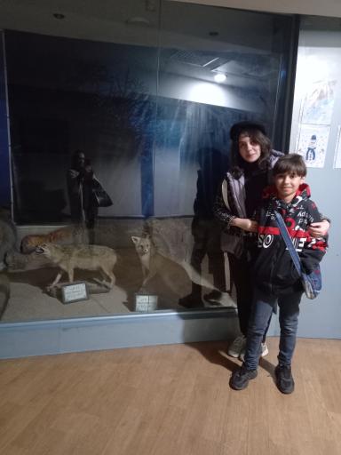 عکس موزه تاریخ طبیعی