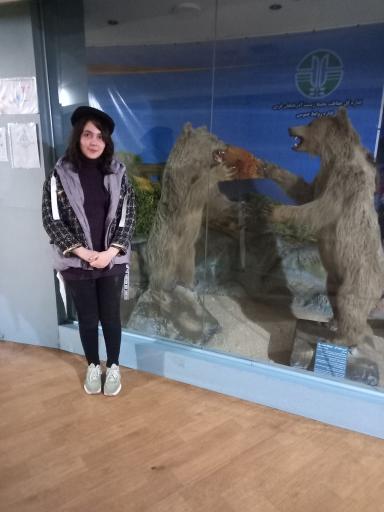 عکس موزه تاریخ طبیعی