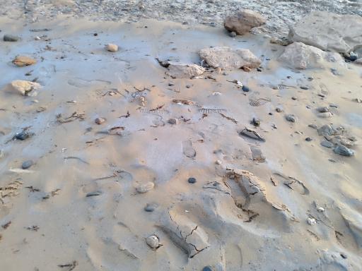 عکس ساحل غار نمکدان 