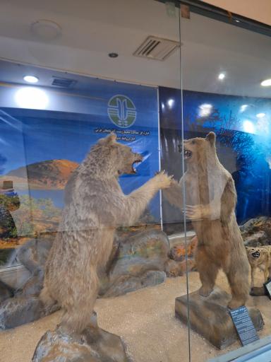 عکس موزه تاریخ طبیعی