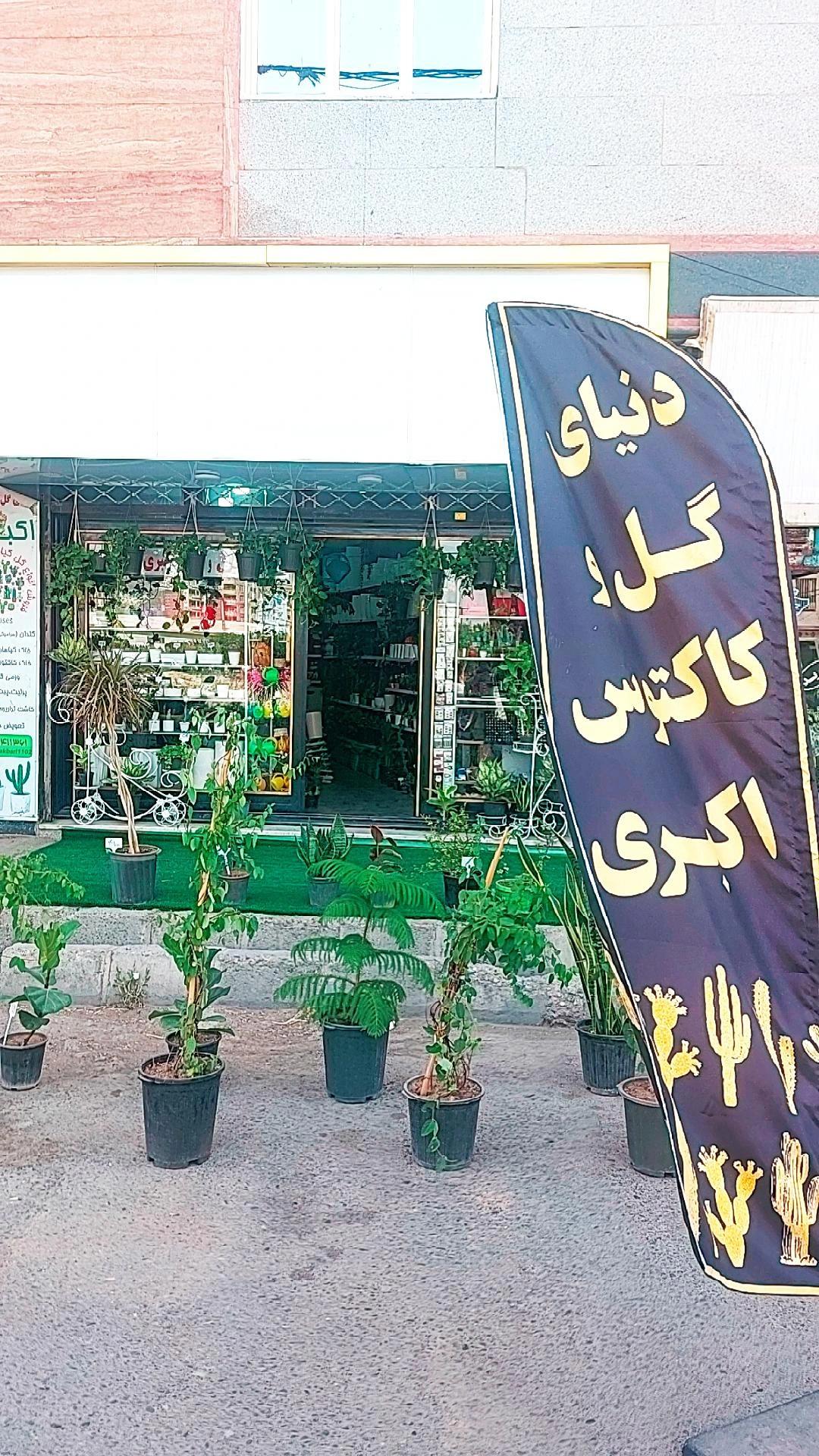 عکس گل و کاکتوس اکبری