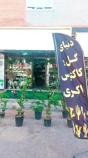 عکس گل و کاکتوس اکبری