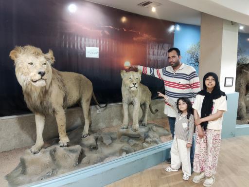 عکس موزه تاریخ طبیعی