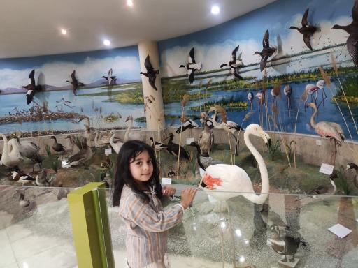 عکس موزه تاریخ طبیعی