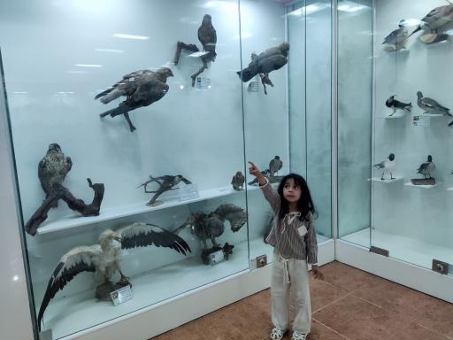 عکس موزه تاریخ طبیعی