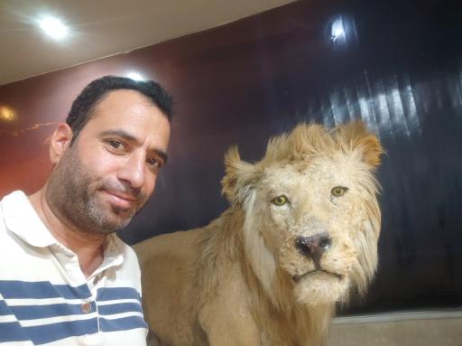 عکس موزه تاریخ طبیعی