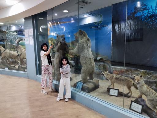 عکس موزه تاریخ طبیعی