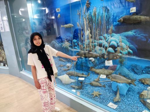 عکس موزه تاریخ طبیعی