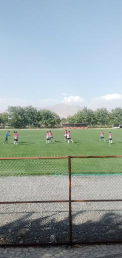 عکس زمین چمن پتروشیمی شازند 