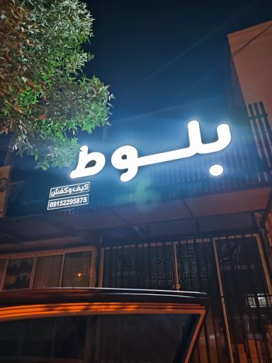 عکس گالری کفش بلوط