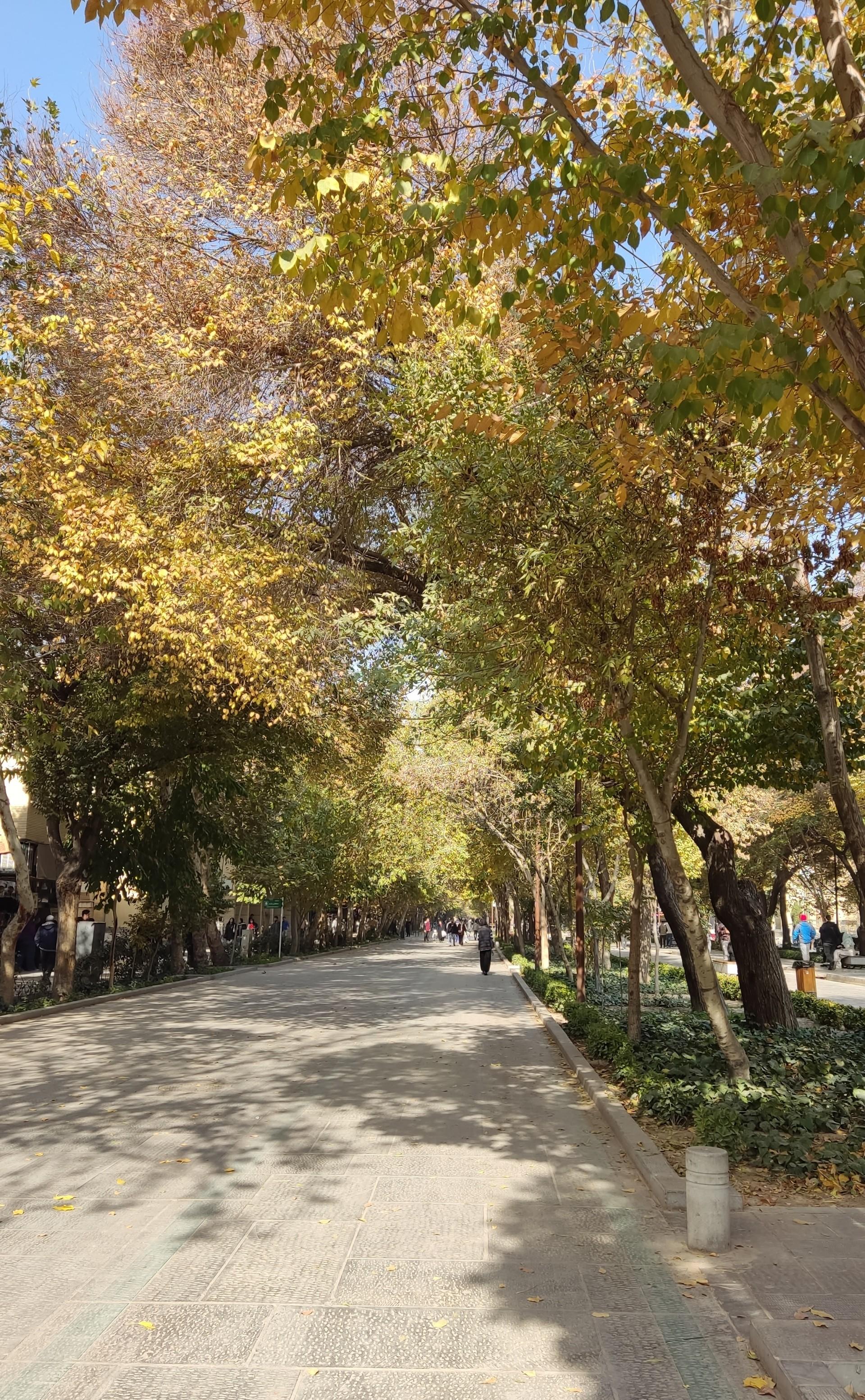 عکس چهار باغ عباسی