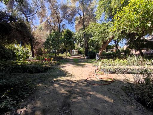 عکس سازمان پارکها و فضای سبز دزفول