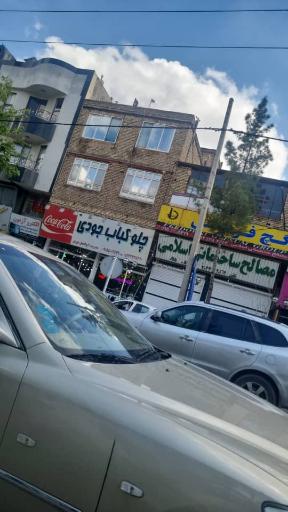 عکس چلوکبابی جودی