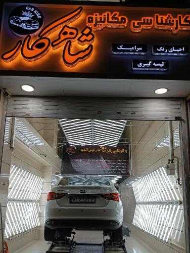 عکس کارشناسی و تشخیص رنگ شاهکار