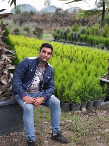 عکس بازار گل و گیاه برگ سبز هاشم پور 